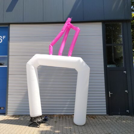 Sky Boog met Roze Tubes